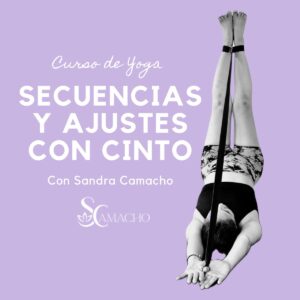 Curso Secuencias y Ajustes con Cinto