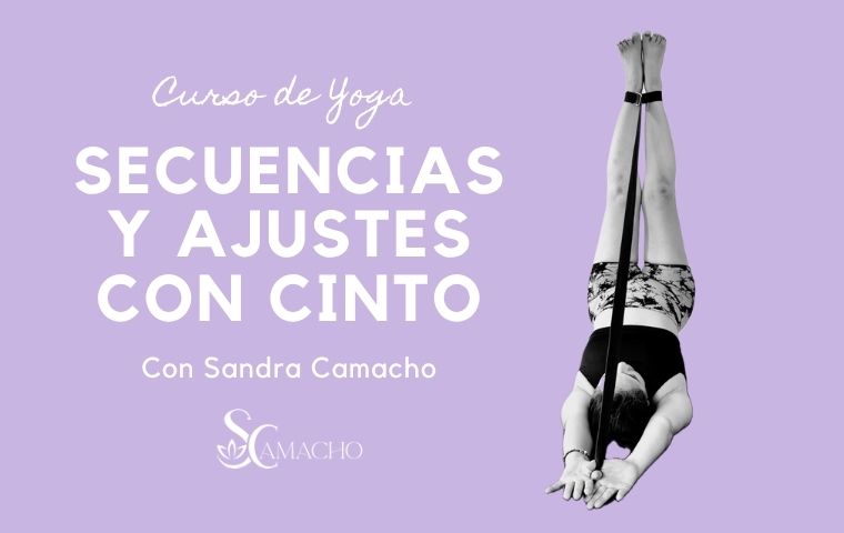 Curso Secuencias y Ajustes con Cinto